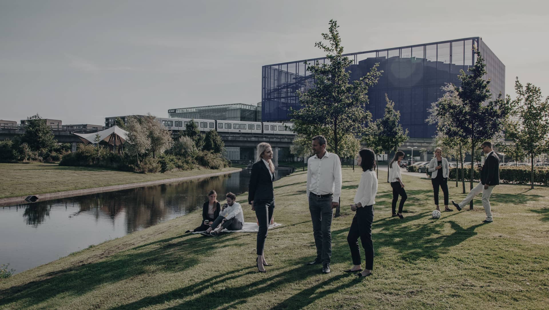 Webp.net-compress-image (7)