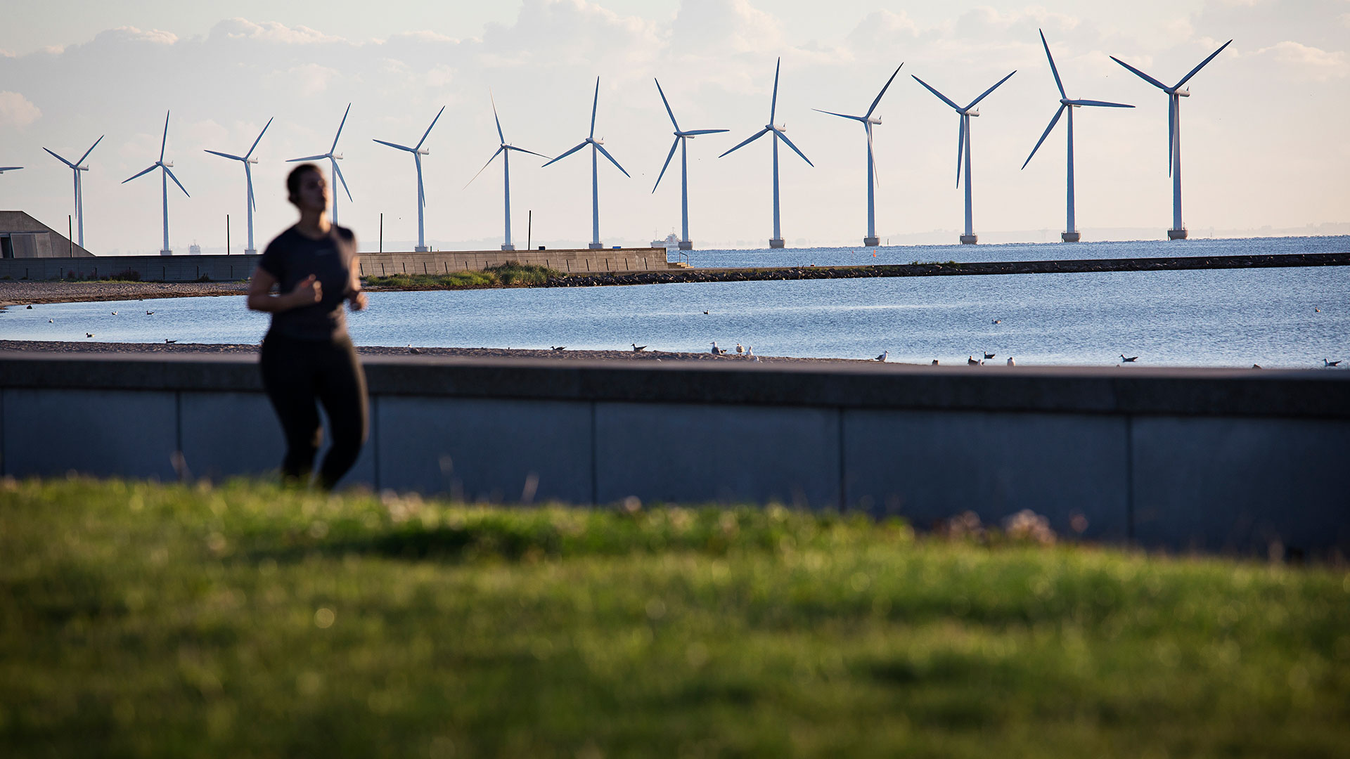 Wind_mills_Ty_Stange